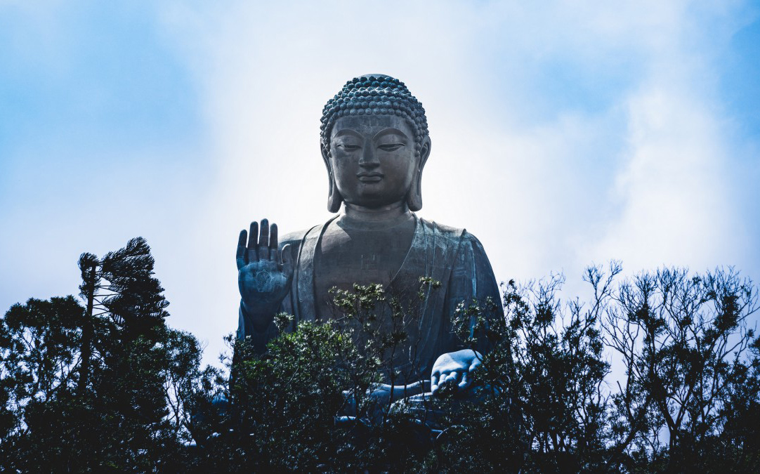 小树林后面屹立着的大佛像