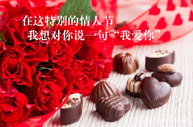 在这个特别的节日里，我想对你说一句“我爱你”