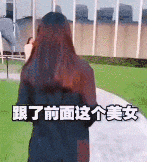 跟了前面美女十条街，我发觉我的爱情就是随机应变