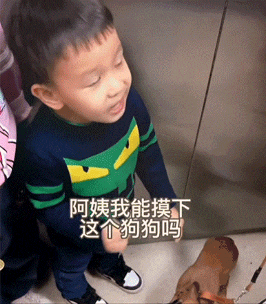 小朋友的理解能力很简单，直接叫狗狗姐姐好像也没什么不对