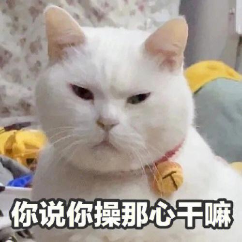 你说你操那心干嘛？真是闲的