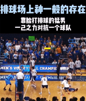 靠脸打排球的猛男，在场上是神一般的存在