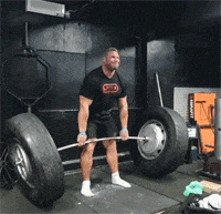 健身房里力大如牛的猛男