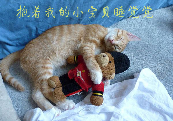 我要抱着我的小宝贝睡觉觉了哦