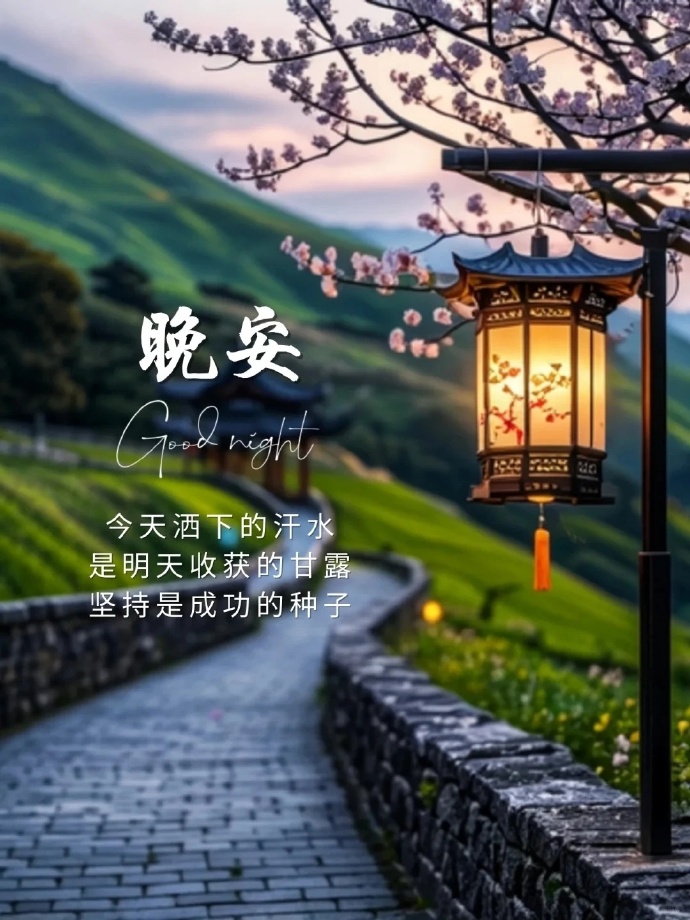 以坚持为种，待明日收获满仓，晚安