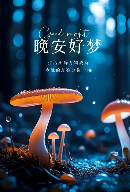 蘑菇灯亮了，童话的夜晚开始了