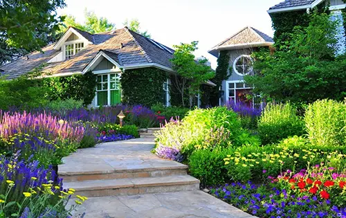 让四季的繁花，温柔每一个晨昏