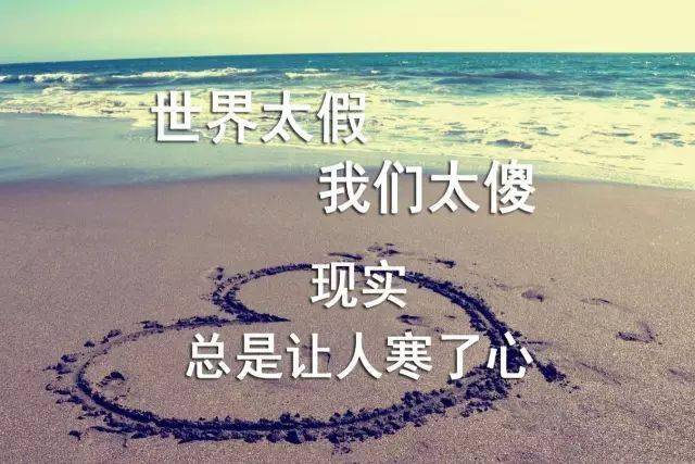 世界太假，我们太傻，现实总是让人寒了心