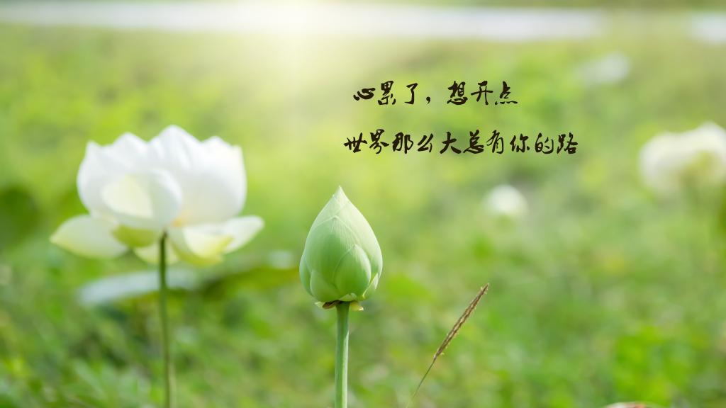 心累了就想开点，世界那么大，总有属于你的路