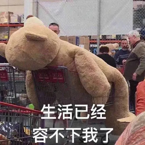生活已经容不下我了，就这样躺平算了