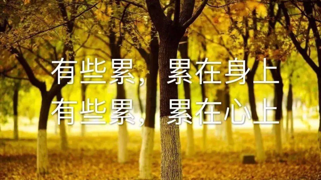有些累，累在身上；有些累，累在心上