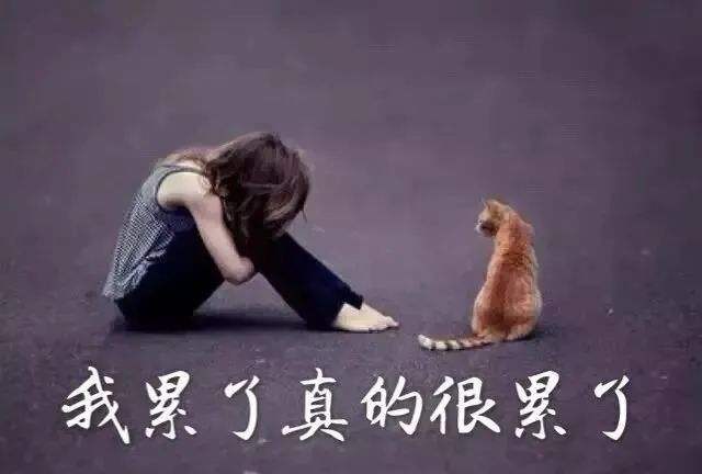 我累了，真的很累了