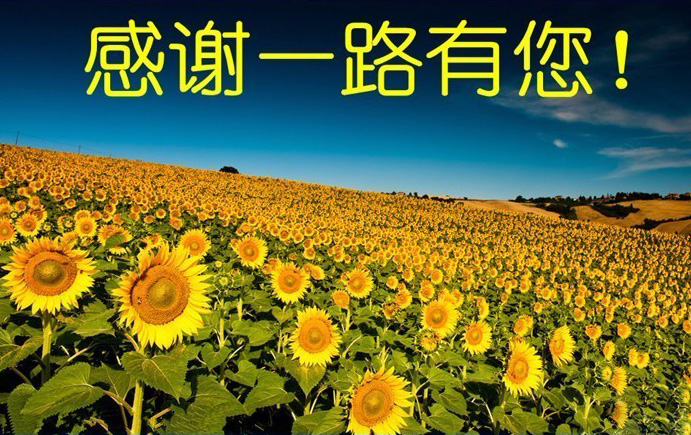 我要感谢这一路上有你