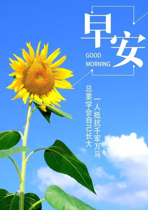 总要学会自己长大，一人抵抗千军万马