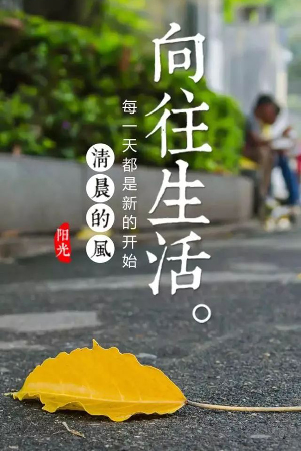 最美最有诗意的早上好图片