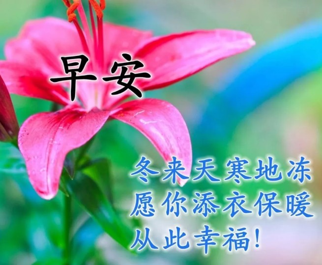 天冷关心朋友的早安问候图片