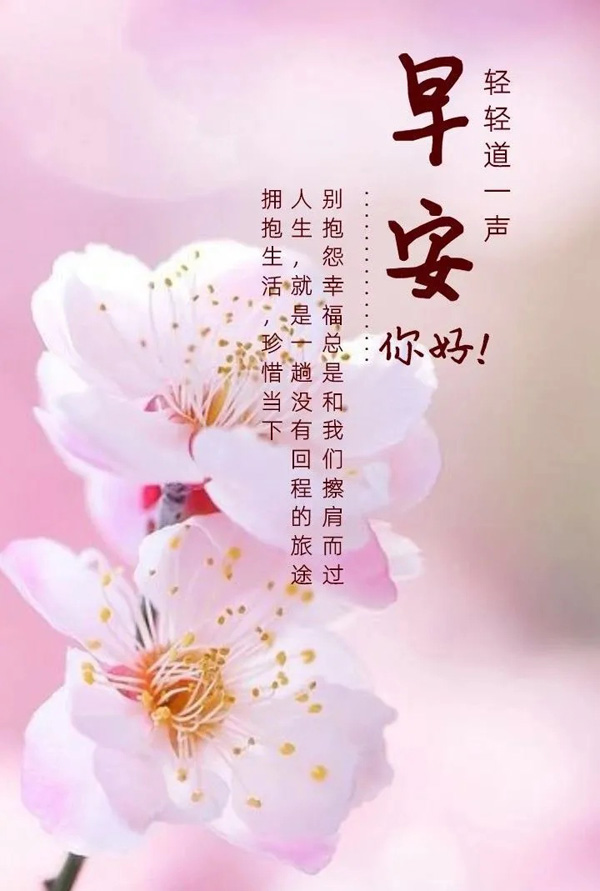 暖心的早安配图：拥抱生活，珍惜当下
