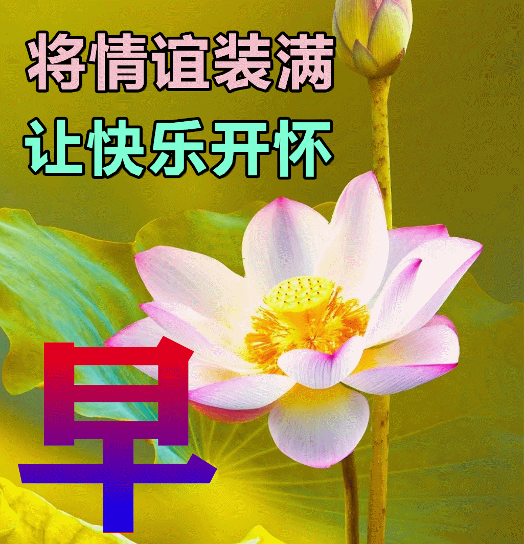 朋友间互发的早上好问候图片