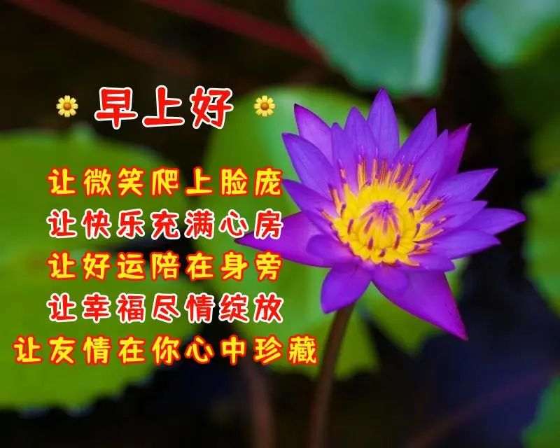 闺密之间的早上好祝福图片