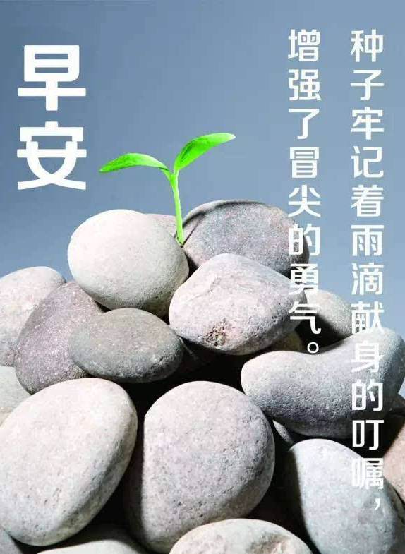 早安励志图片-不管身处何方都能生根发芽