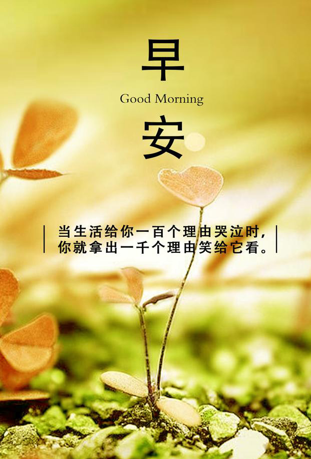 2023年正能量的早安励志图片