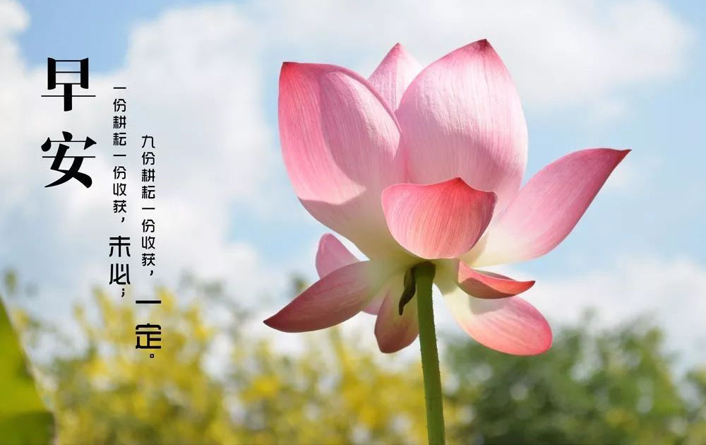 励志早安图片-九分耕耘一定会有一份收获