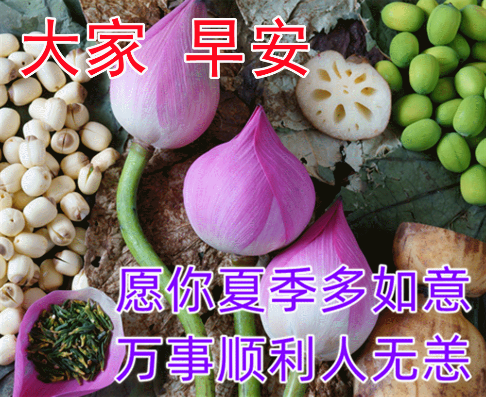 大家早安，愿你夏季多如意，万事顺利人无恙
