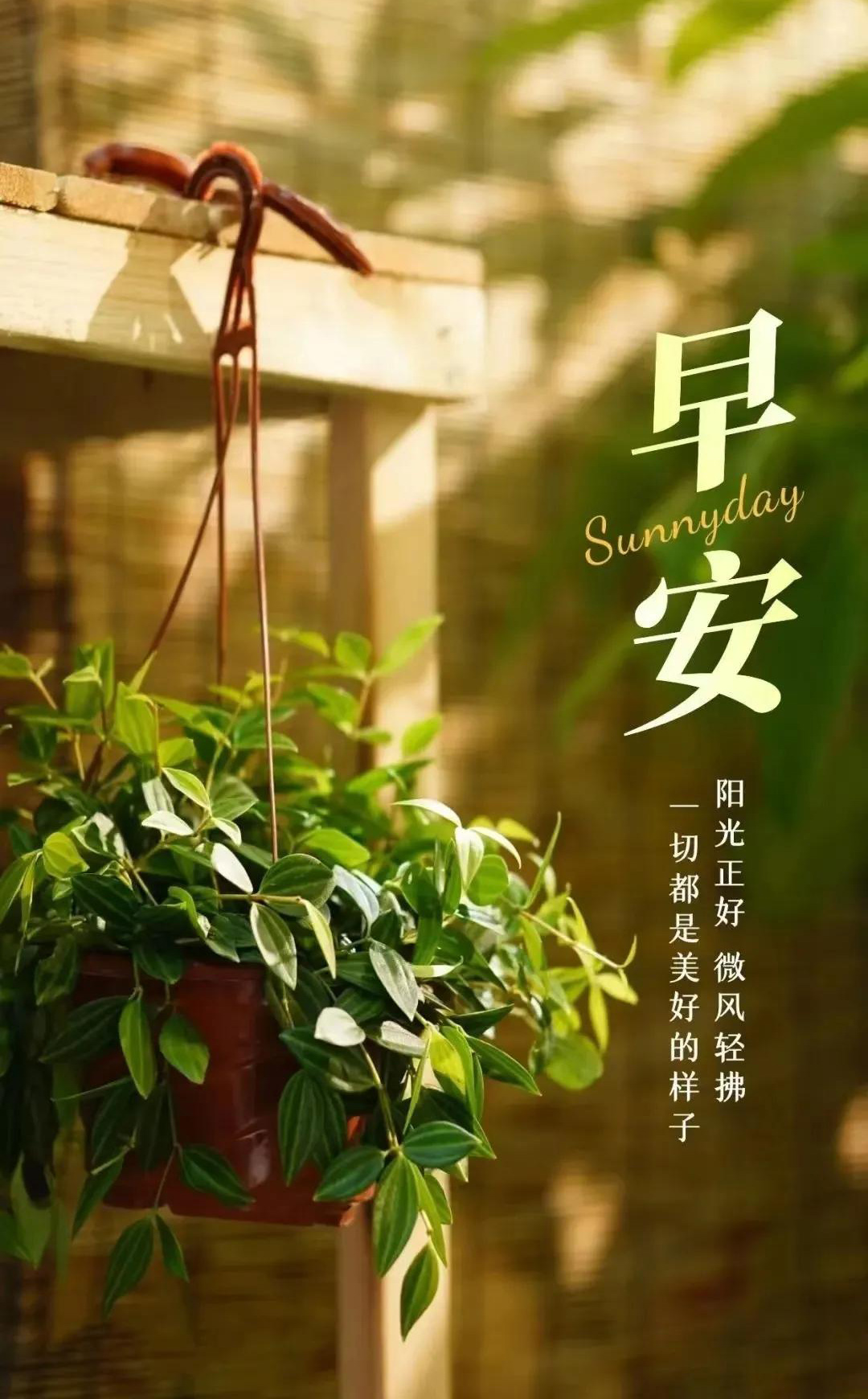唯美浪漫的早安图