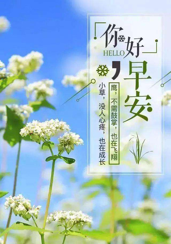 早安励志图-没人疼的小草也会不停的成长