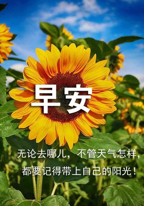 励志早安图：无论去哪儿，都要记得带上自己的阳光