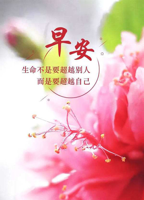 早安励志图：生命不是要超越别人，而是要超越自己
