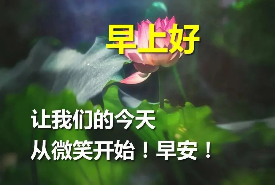 让我们的今天从微笑开始，早上好