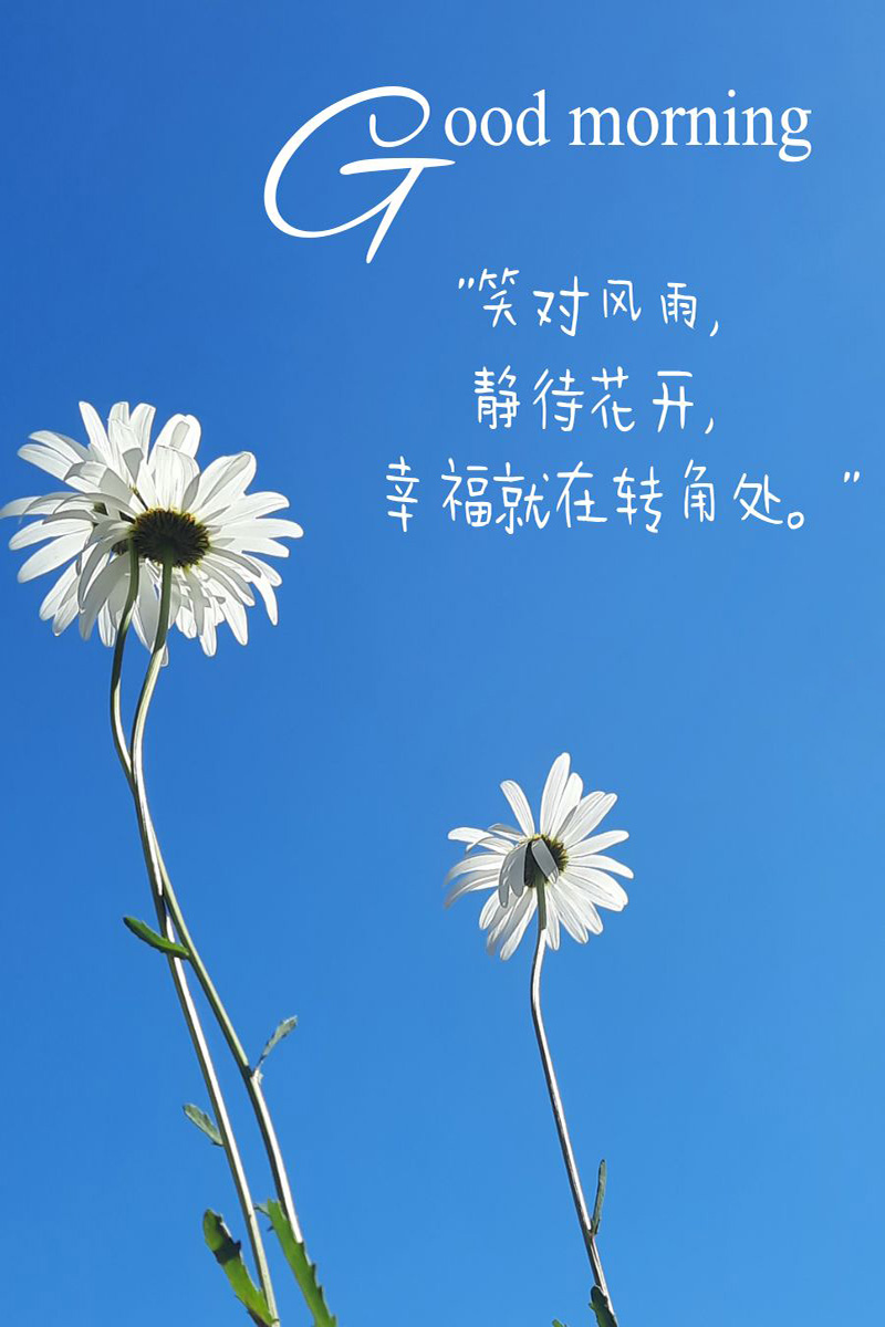 早上好的励志美图：笑对风雨，静待花开，幸福就在转角处