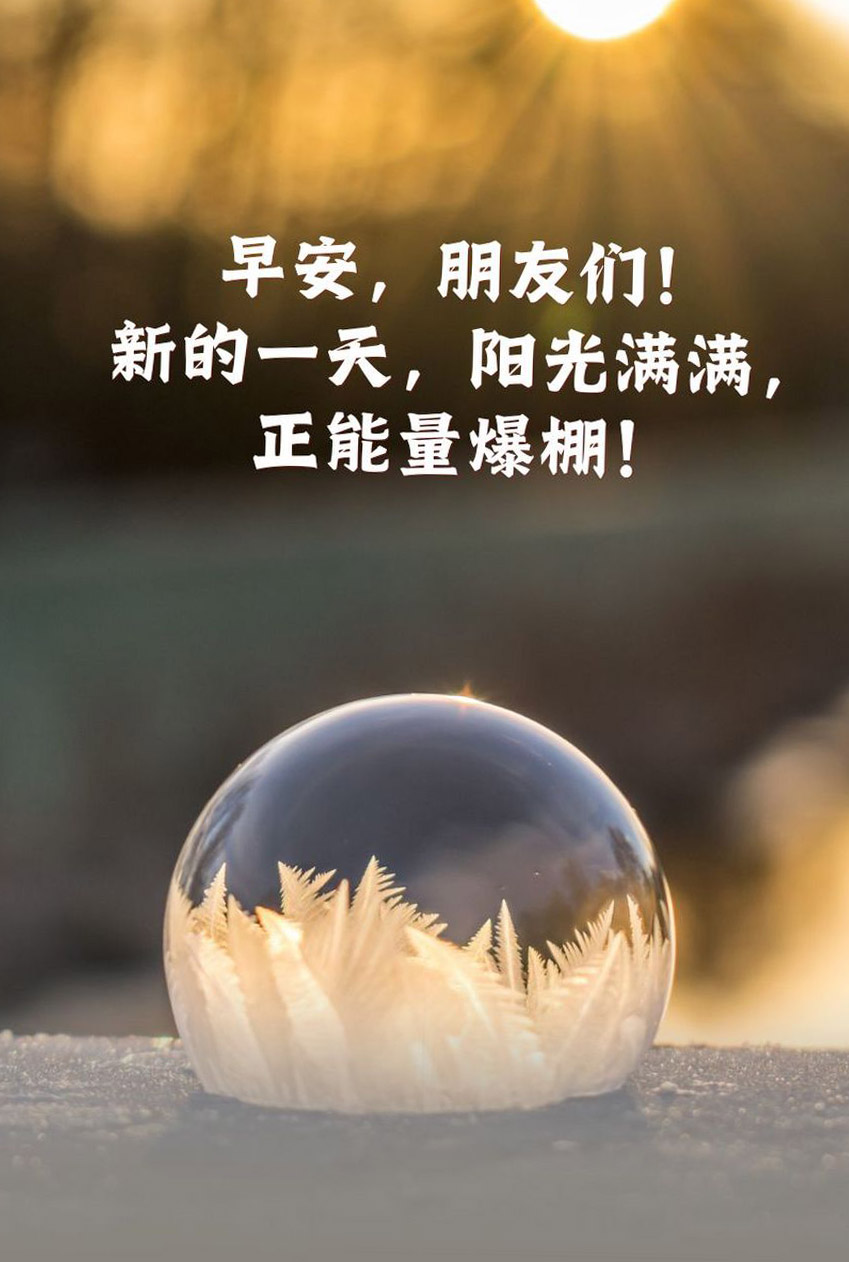 早安朋友们！新的一天，阳光满满，正能量爆棚