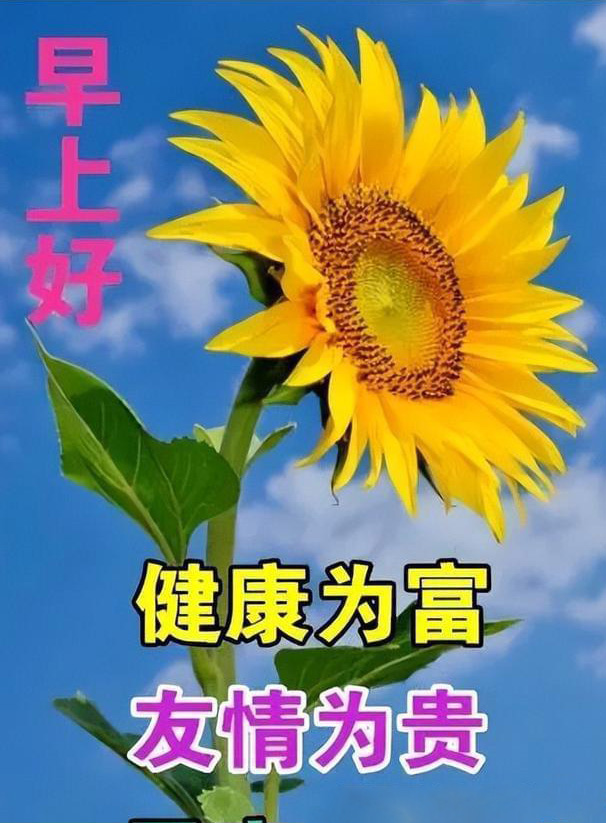 早上好问候图-健康为富，友情为贵