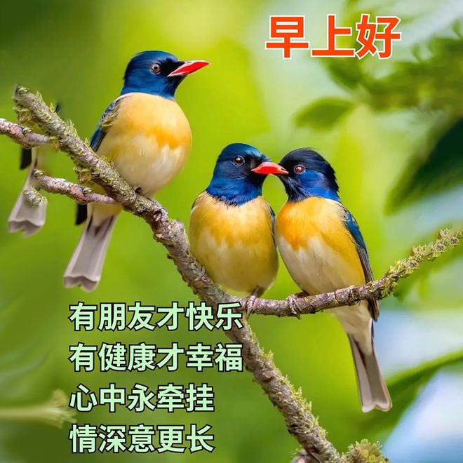 朋友圈早上好美图-有朋友才快乐，有健康才幸福