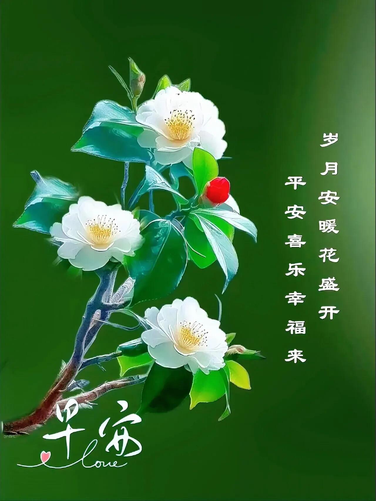 经典早安短句：岁月安暖花盛开，平安喜乐幸福来
