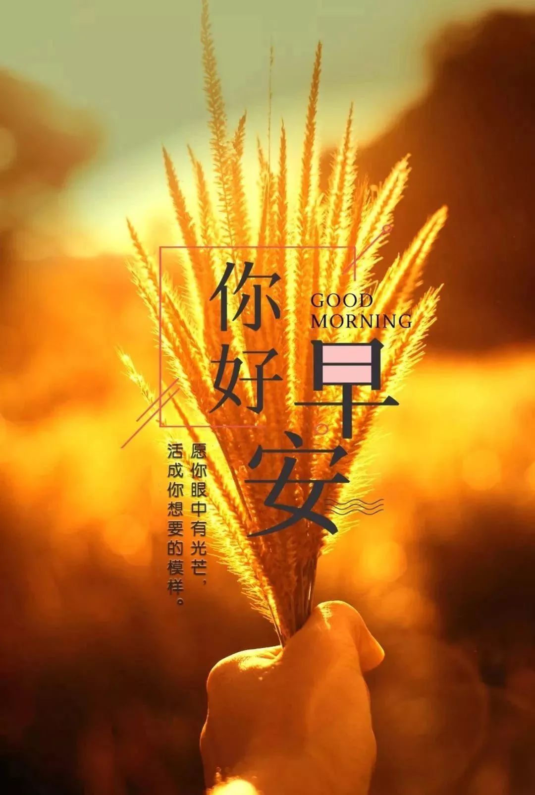正能量早安配图：握一束晨光，活成想要的模样