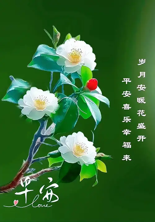 经典早安短句：岁月安暖花盛开，平安喜乐幸福来