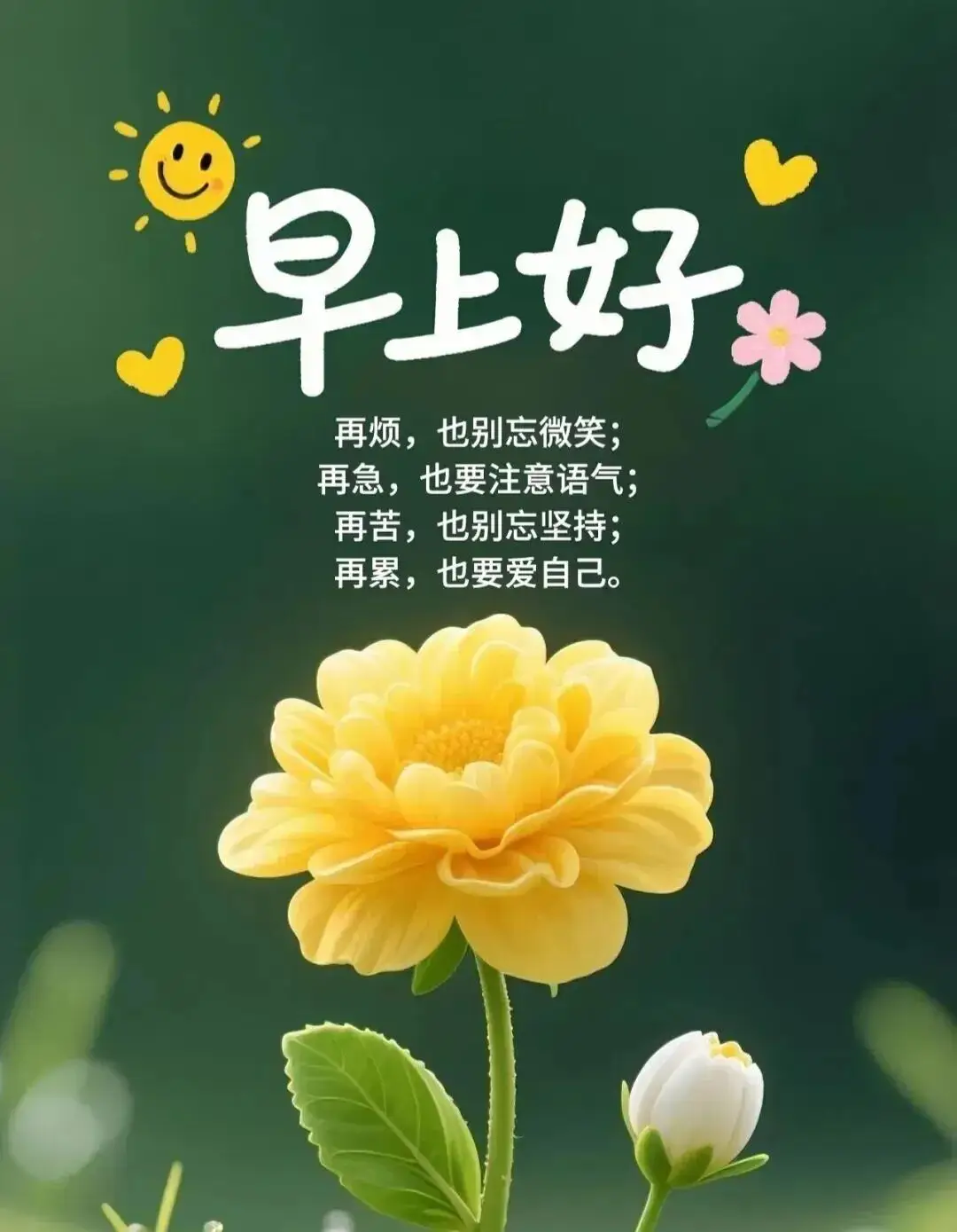 暖阳小花伴清晨，再难也别辜负温柔的自己