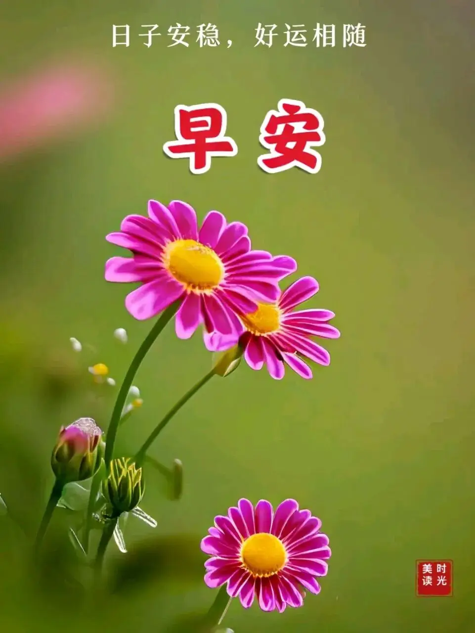 早安！愿日子安稳，好运常伴左右