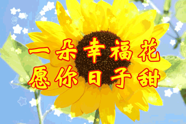 送你一朵幸福花，愿你的日子甜蜜蜜