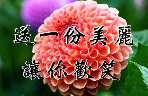 我要送你一份美丽的祝福，让你的生活充满欢笑