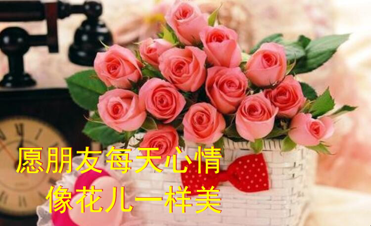 祝愿朋友每天的心情像花儿一样美
