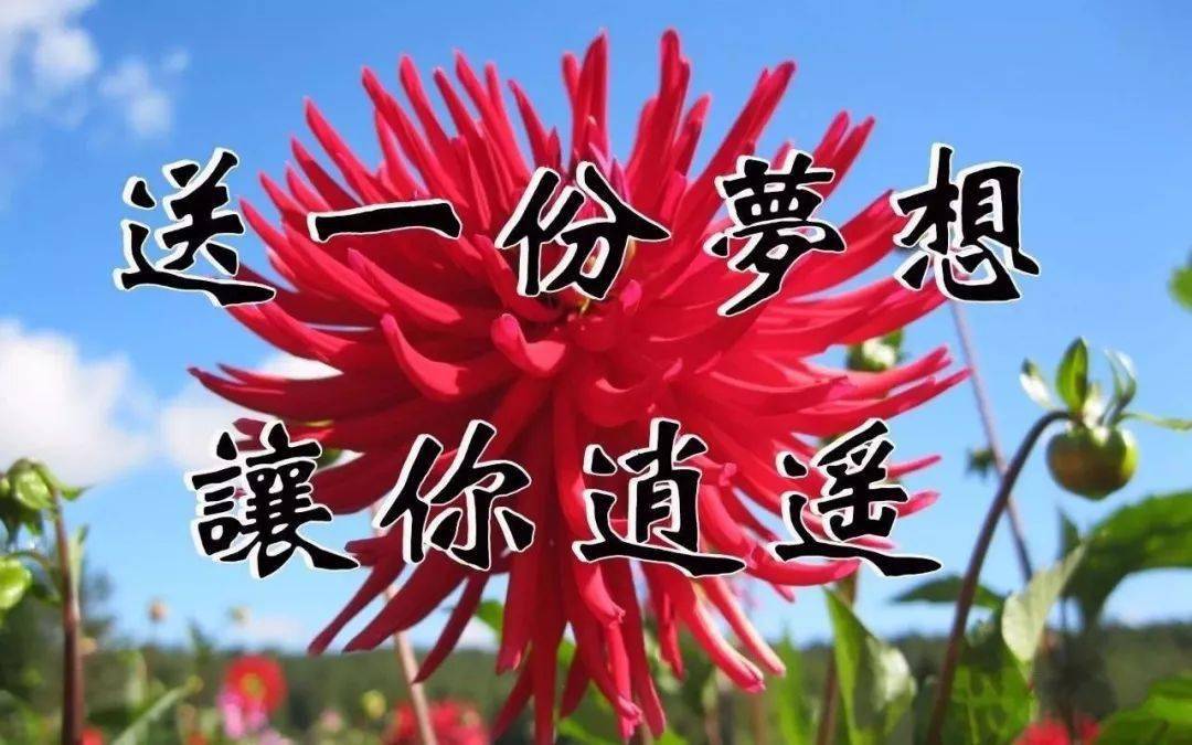 送你一份梦想，让你逍遥又快乐