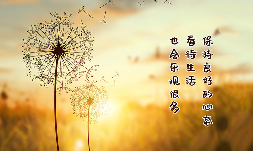 愿你保持良好的心态对待生活