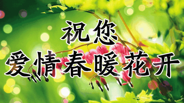 发给单身狗的祝福图片，祝你爱情春暖花开