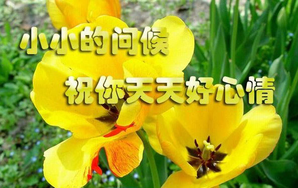 送你一个小小的问候，祝你天天好心情