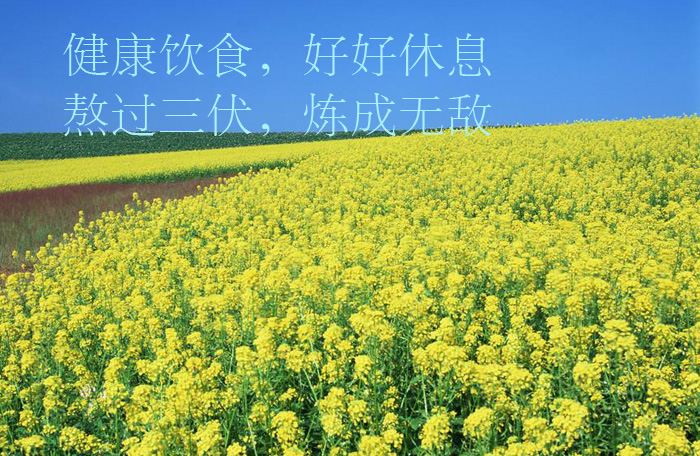 愿你健康饮食，好好休息