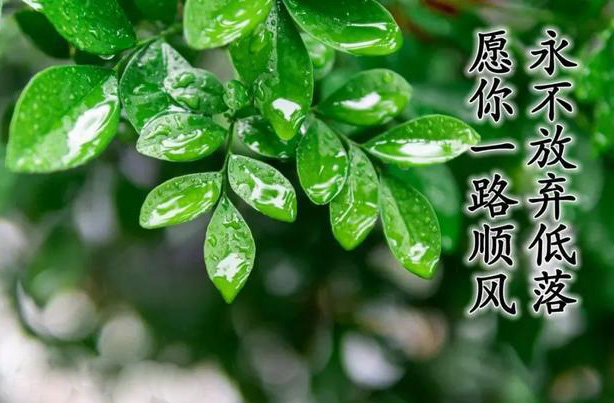 愿你一路顺风，永不放弃